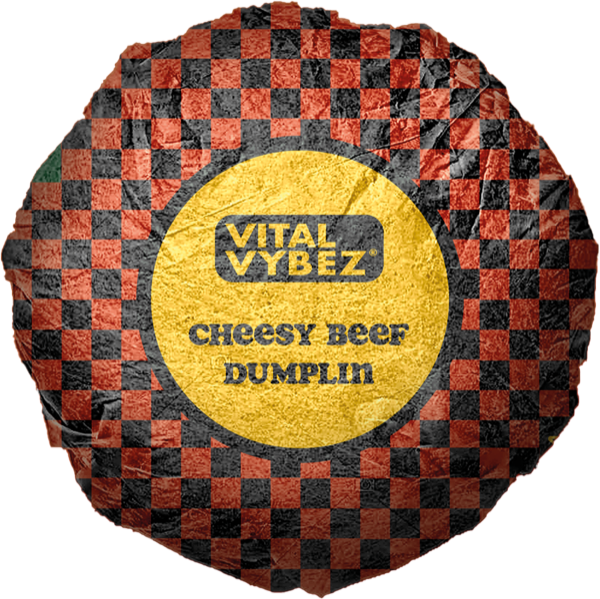 Cheesy Beef dumpling
