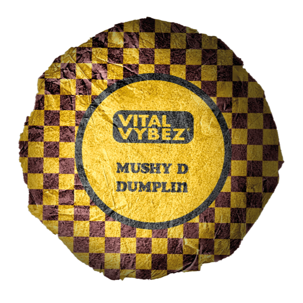The Mushy D vegan dumpling